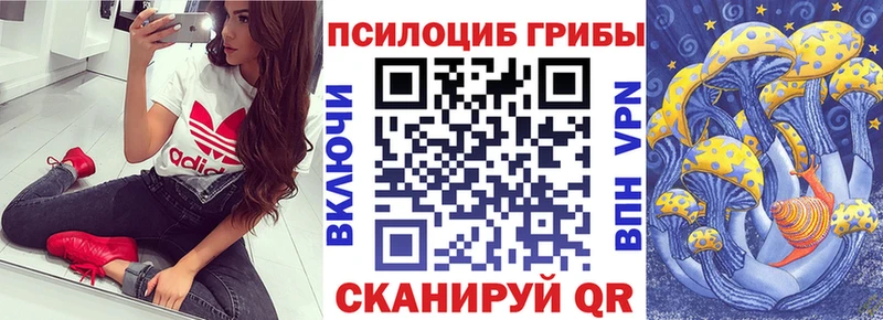 Галлюциногенные грибы Psilocybe  Дыгулыбгей 